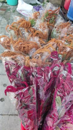 Natural & Dyed Dried Amaranthus 1