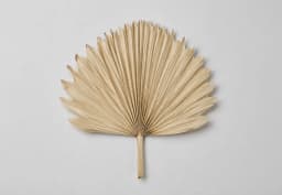 Natural & Dyed Dried Palm / Fan 1