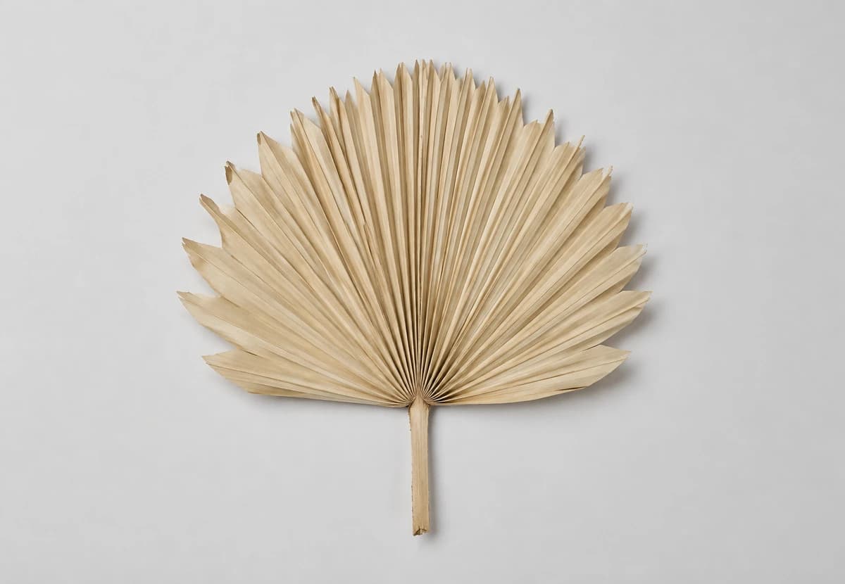 Natural & Dyed Dried Palm / Fan