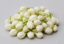 White Jasmine Buds 1