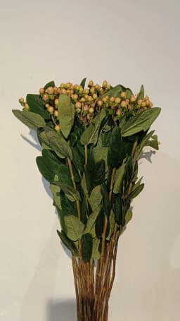 Peach Hypericum Berries 1