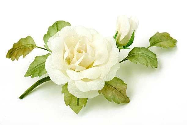 White Roses