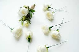 White Roses 3